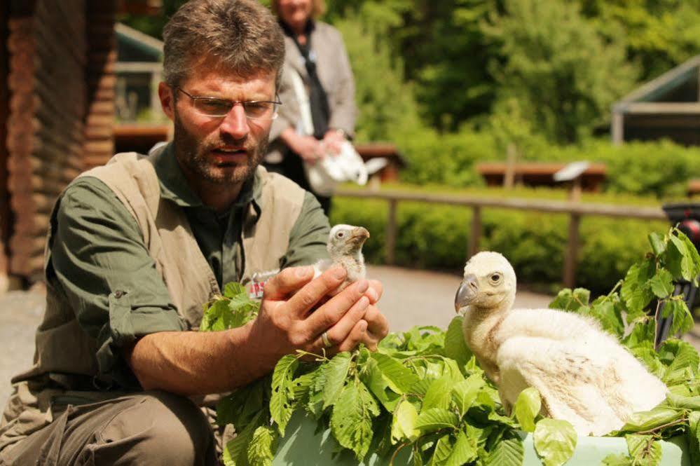 Erlebnispark Tripsdrill Natur-resort Cleebronn